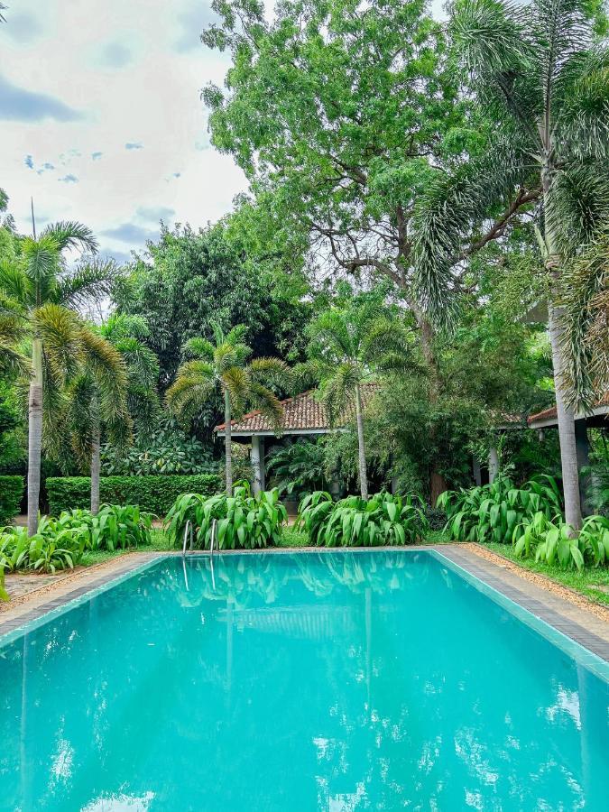 Wild Heaven Hotel ทิซซามาฮารามา ภายนอก รูปภาพ