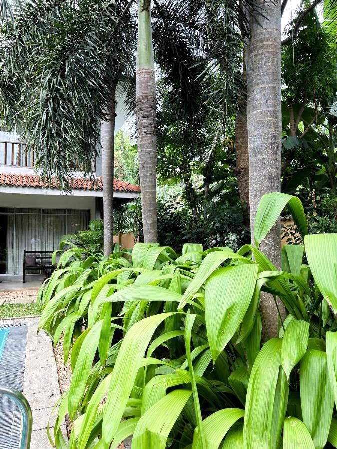 Wild Heaven Hotel ทิซซามาฮารามา ภายนอก รูปภาพ