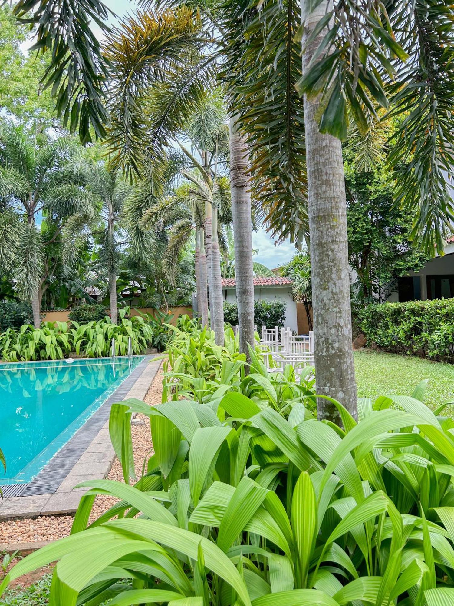 Wild Heaven Hotel ทิซซามาฮารามา ภายนอก รูปภาพ