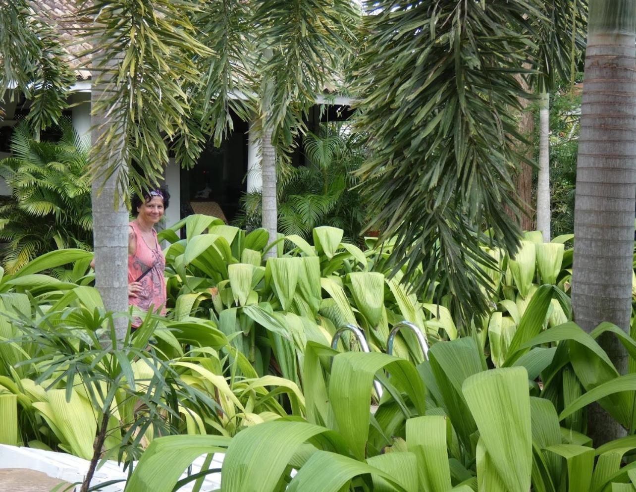 Wild Heaven Hotel ทิซซามาฮารามา ภายนอก รูปภาพ