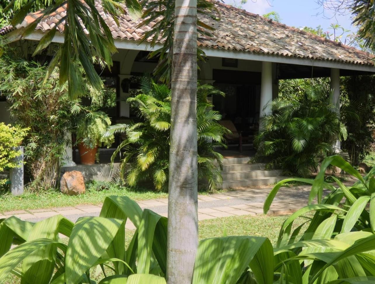 Wild Heaven Hotel ทิซซามาฮารามา ภายนอก รูปภาพ
