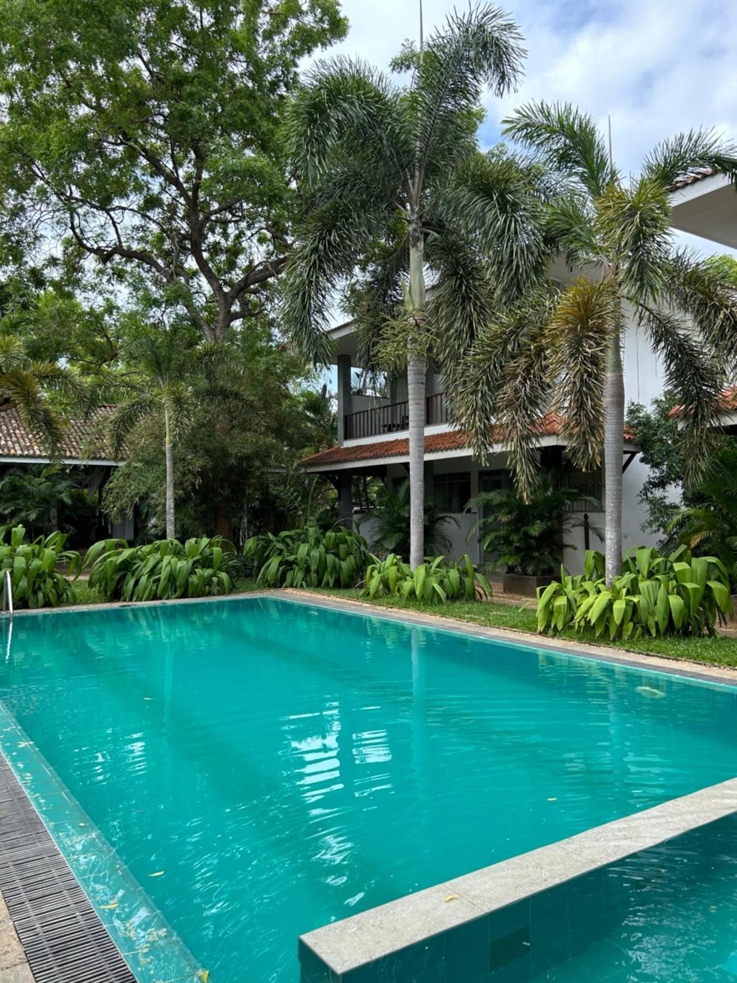 Wild Heaven Hotel ทิซซามาฮารามา ภายนอก รูปภาพ