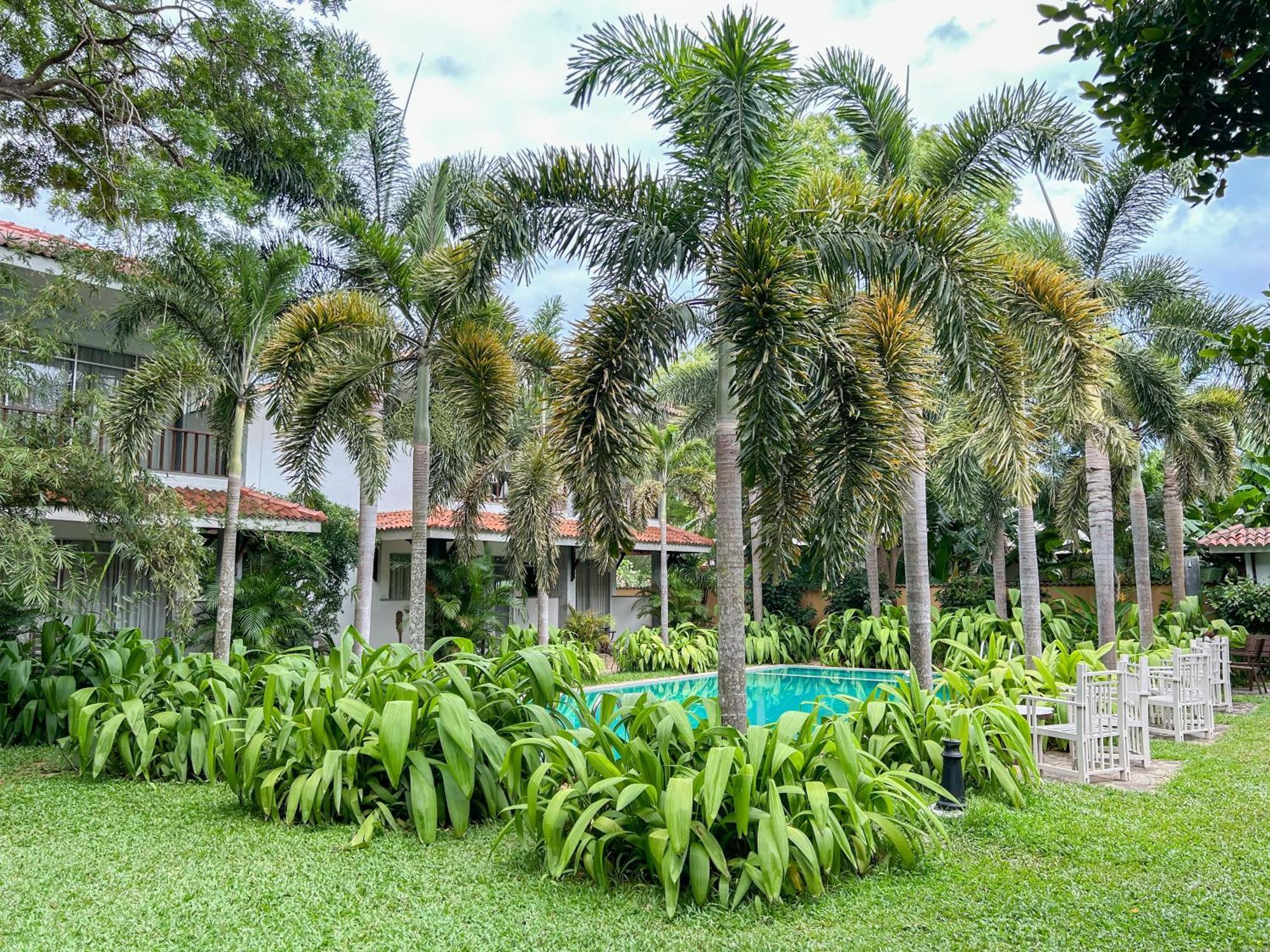 Wild Heaven Hotel ทิซซามาฮารามา ภายนอก รูปภาพ