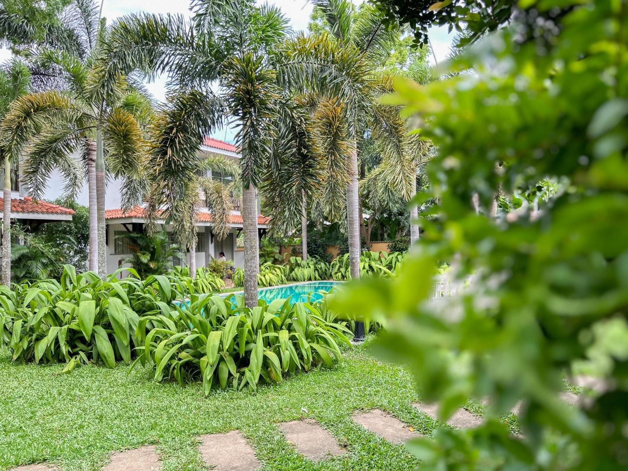 Wild Heaven Hotel ทิซซามาฮารามา ภายนอก รูปภาพ