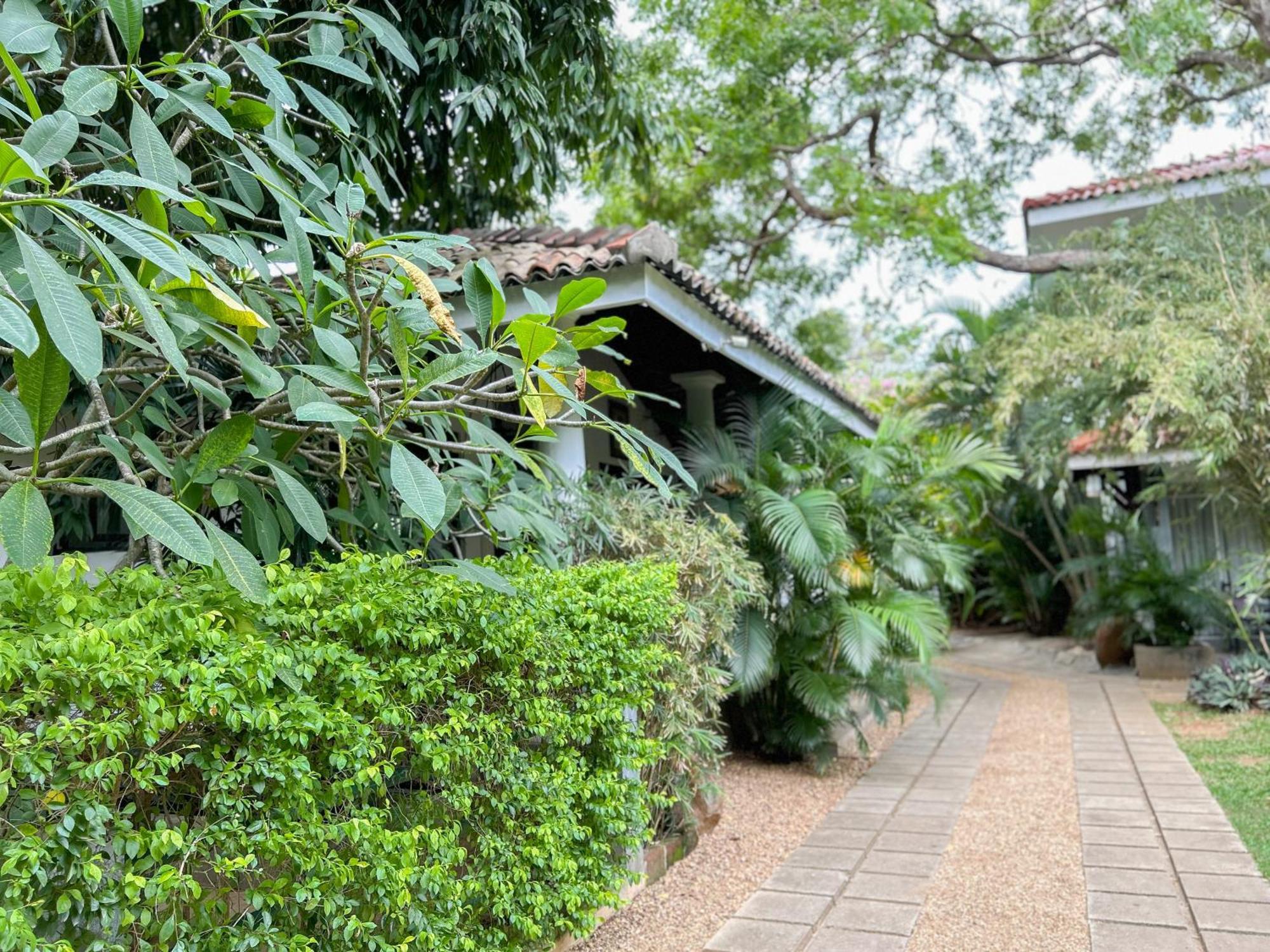 Wild Heaven Hotel ทิซซามาฮารามา ภายนอก รูปภาพ