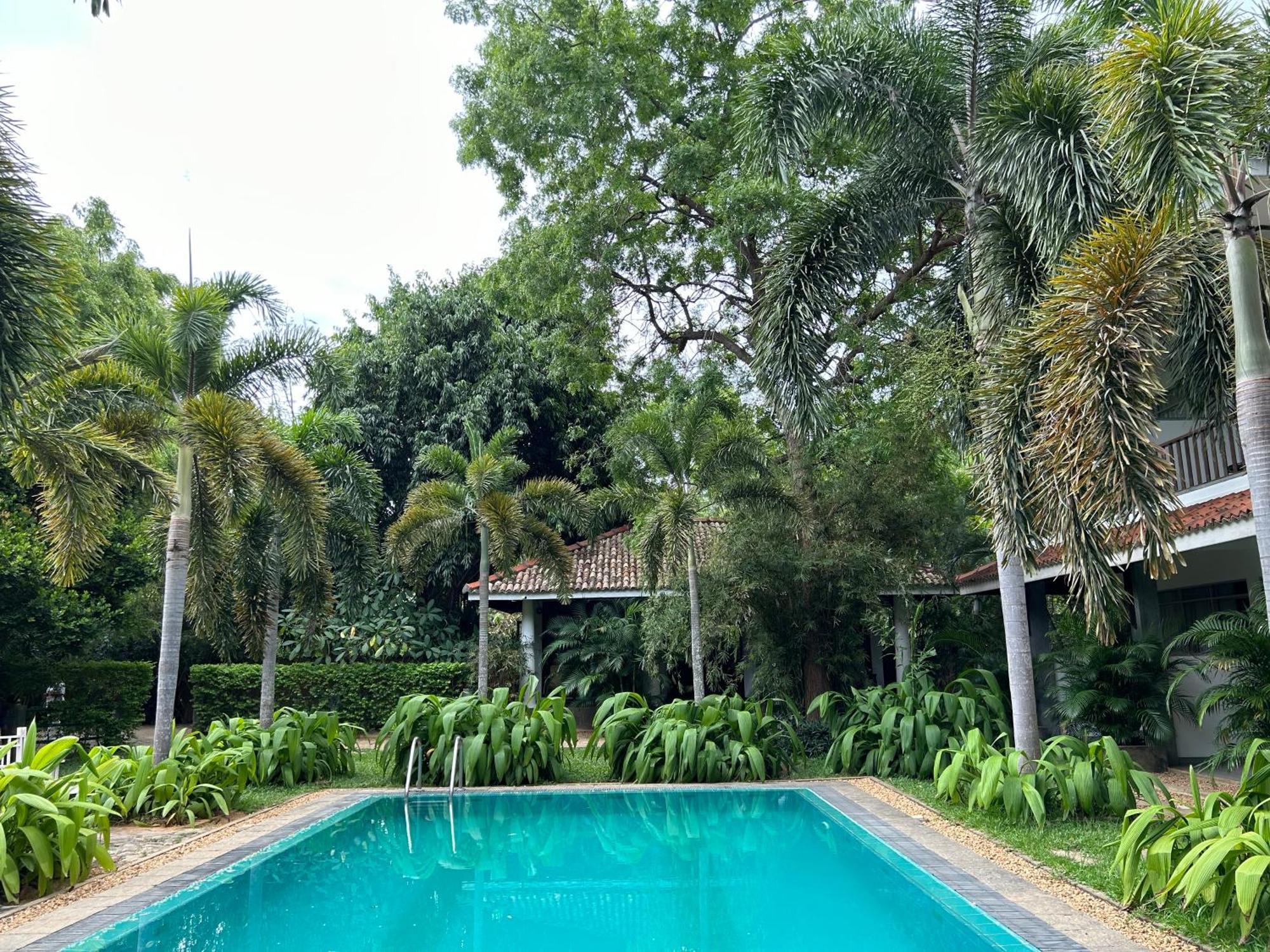Wild Heaven Hotel ทิซซามาฮารามา ภายนอก รูปภาพ