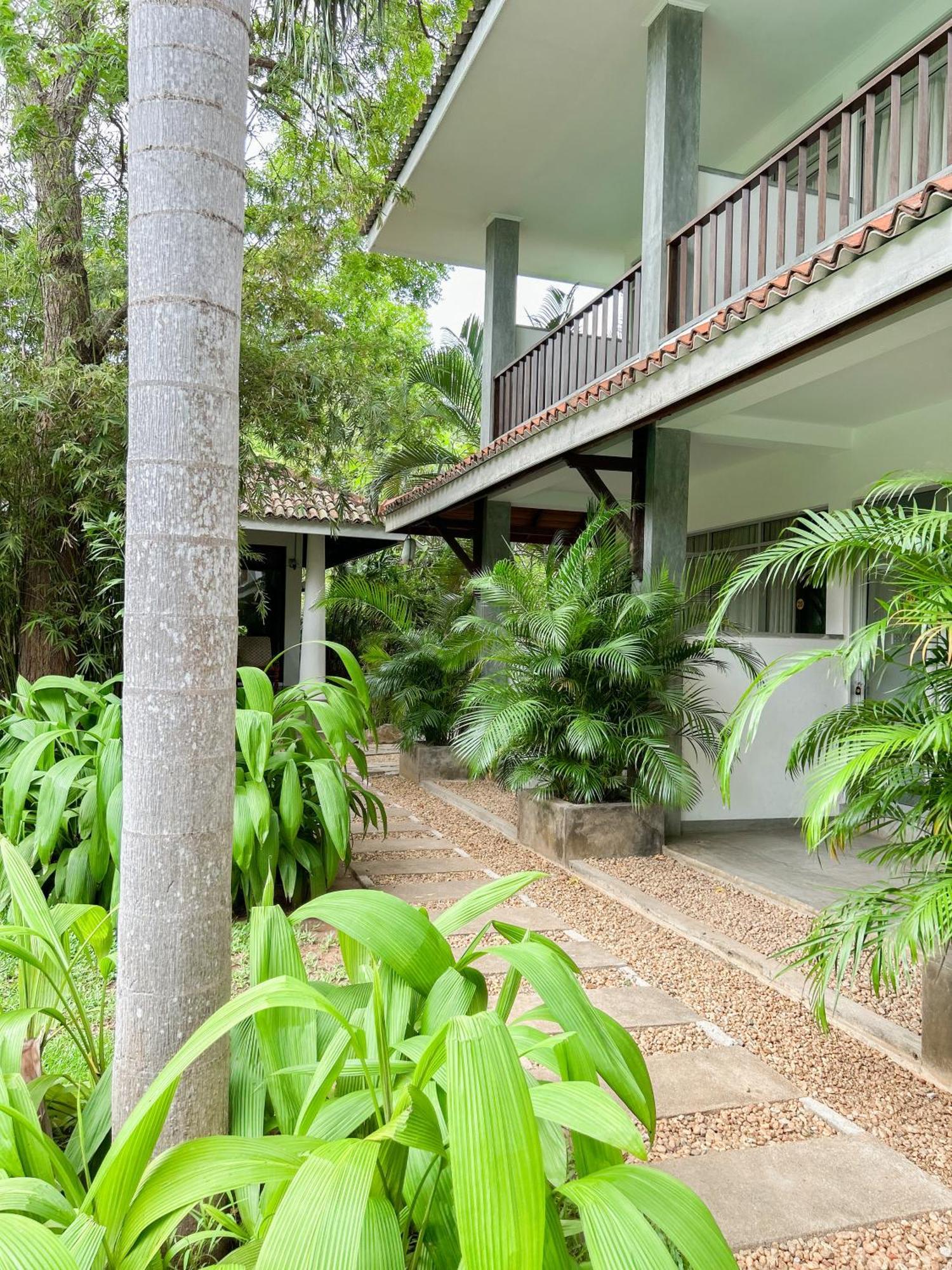 Wild Heaven Hotel ทิซซามาฮารามา ภายนอก รูปภาพ